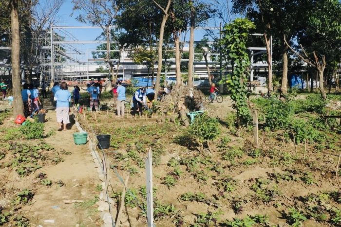 RISING COMMUNITY GARDEN, PHILIPPINES - V-Day